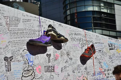 DSC_7146 (Large).JPG